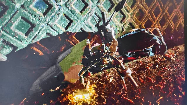 ...