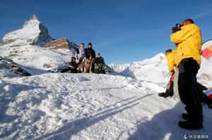 瑞士名犬成觀光道具 政府下令禁拍