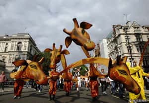 改善氣候變遷 全球50萬人聯合遊行