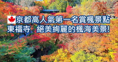京都楓葉景點🍁10處京都賞楓第一名 東福寺 絕美絢麗的楓海美景!