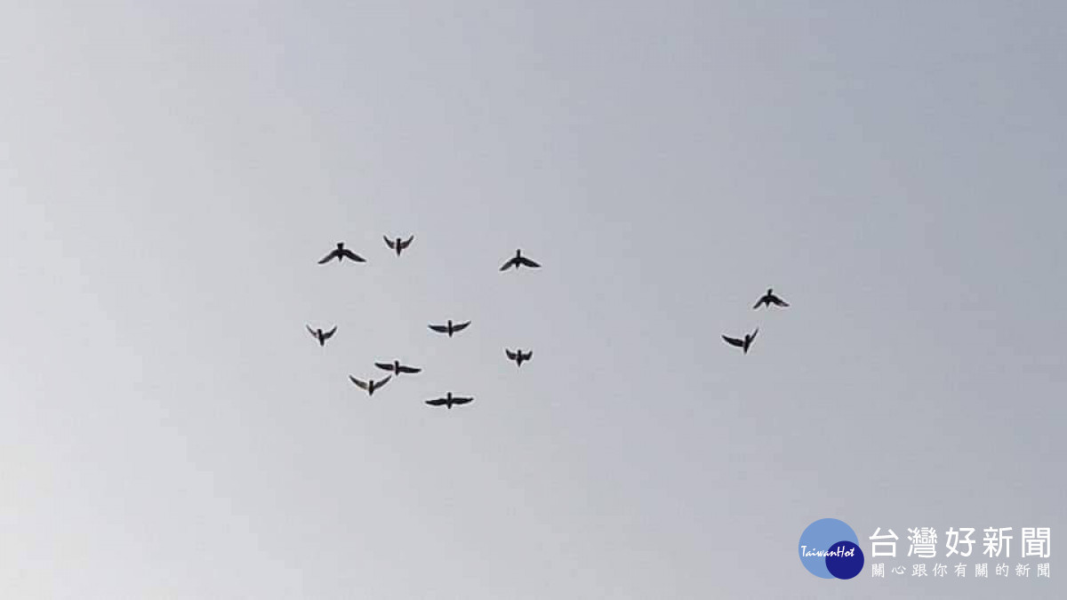 入秋最強冷空氣將南下　下週台北降至15度　