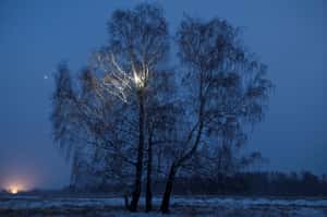 【地球 24小時】11/16 網路，網路你在哪？