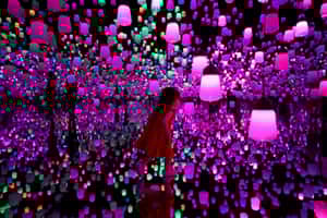 【地球 24小時】08/03 誤闖魔幻境