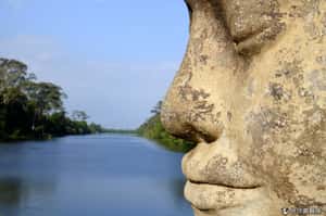 被控牽涉色情舉止  外國人在柬埔寨開趴遭逮