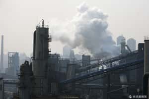 中國認了癌症村