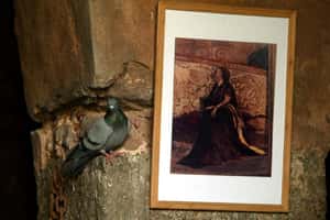 隔絕「下等人」隱居「王宮」  獨自在叢林中病逝的印度王子