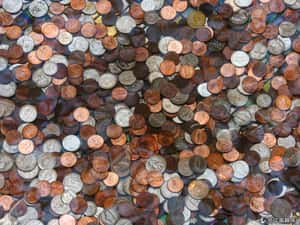 「撲通」一聲求好運  許願池的由來