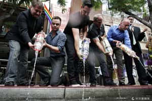 俄國反同志法效應 伏特加酒廠受創