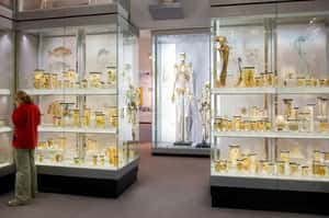 「我要海葬，而不是被收藏」愛爾蘭巨人最卑微的遺願