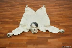 希特勒死了沒？  法國團隊用牙齒告訴你「死透了」