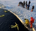 北歐極地特有(2)動物拉雪橇、捕帝王蟹及乘破冰船，極地活動真精彩！