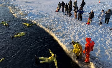 北歐極地特有(2)動物拉雪橇、捕帝王蟹及乘破冰船，極地活動真精彩！