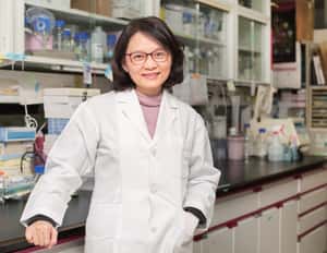 【地球圖書館】草藥科學的重大突破：草藥怎麼吃才有效？