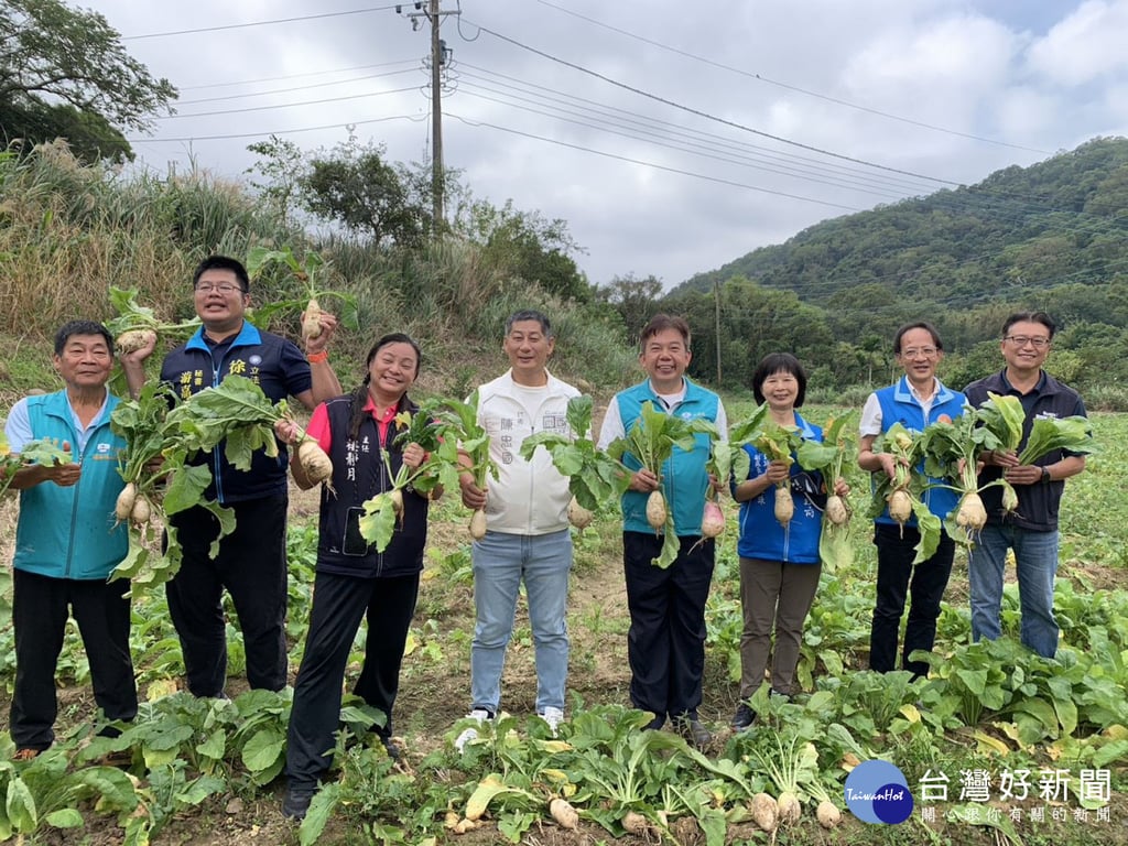 豐收「好彩頭」　關西鎮上林社區蘿蔔美食節熱鬧辦理