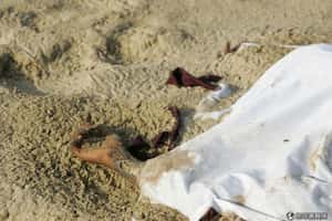 為什麼東南亞各國不救緬甸難民？