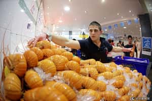 世界第2大！  雪梨魚市場36小時不闔眼迎客