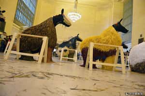 中央車站跳馬舞     紐約藝術家製造奇幻的乘車體驗