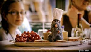 幫助動物 你能怎麼做？