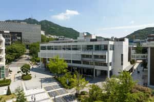 「影片真的不是我！」深偽色情內容犯罪，韓國首爾大學N號房共犯判刑5年