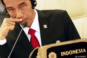 對抗戀童癖  印尼總統大推化學去勢
