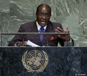 侵犯人權、政策失敗遭批  WHO取消任命辛巴威總統為親善大使