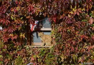 12張可口的秋色美景