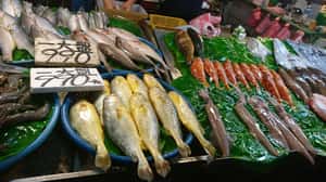 古人瘋海產，十九世紀吃遍全世界？海產臺灣的百年歷史縮影