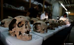 打破既有觀念的發現  阿茲提克骷髏塔發現大量女性與小孩頭骨