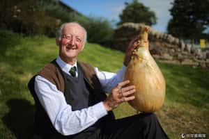 洋蔥比小朋友還重！  英國園藝展極度有看頭