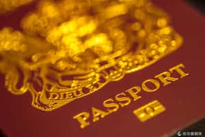 保命至上   全球富人瘋買簽證