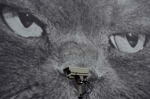  研究顯示家用安全攝影機有疑慮！會無意間告訴竊賊你不在家