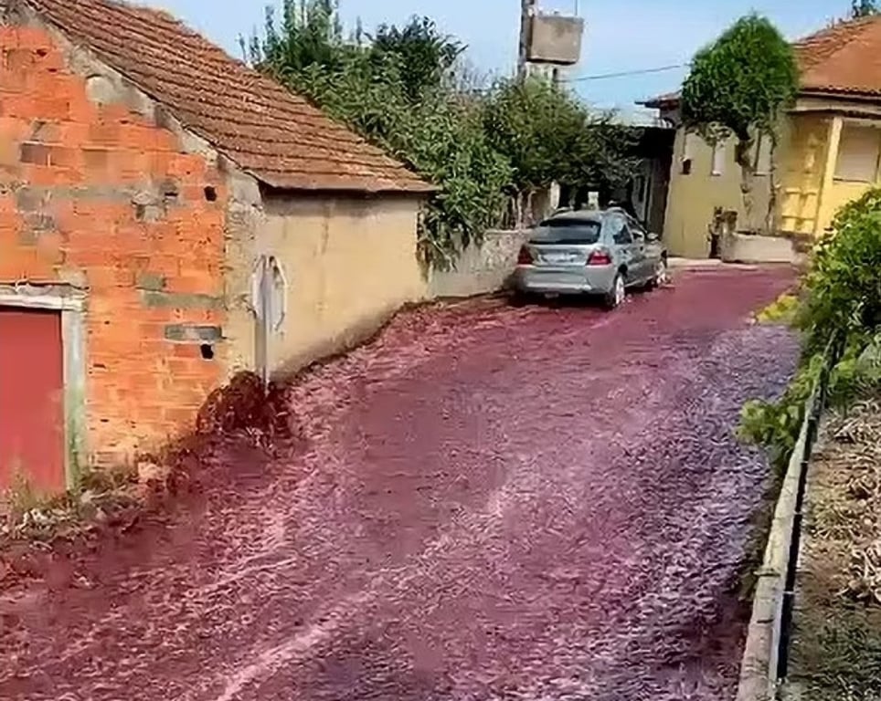 「我要看到酒流成河！」葡萄牙酒廠紅酒外漏淹沒小鎮街道