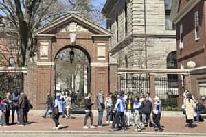 「人文學科學位值得嗎？」重理輕文趨勢　哈佛取消30門課程、各國大學砍預算