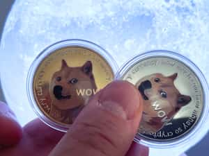 原本只是想嘲諷加密貨幣 從迷因圖而來的「狗狗幣」