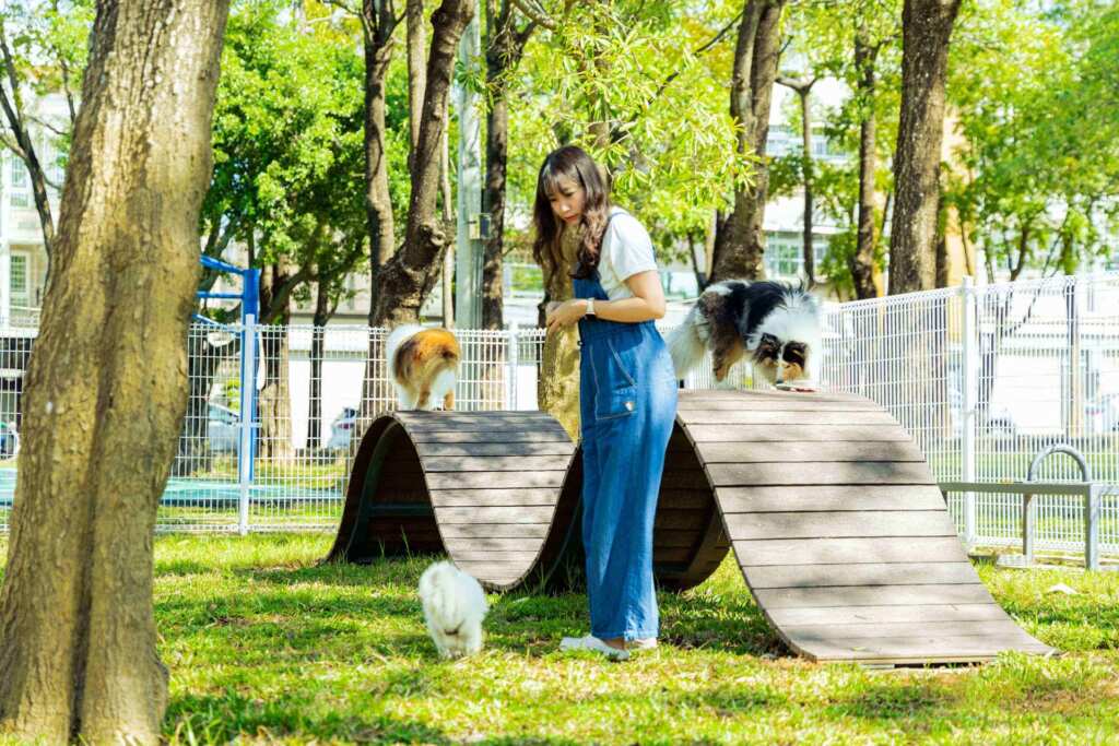 燕巢南燕公園「寵物活動區」啟用　打造毛孩專屬天地