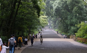 收進人生清單的旅行提案：札幌出發，一日玩遍近郊5大絕景