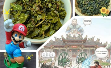 松柏嶺四季春是什麼？早春茶風味解析與日常品飲推薦🍃三葉茶莊（永和創始店）