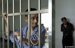 報告：中國仍把死刑犯當器捐庫