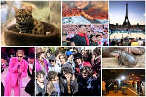 【如果2024年是一張專輯】B SIDE：流行、娛樂還有貓，這一年令人回味無窮的精彩插曲