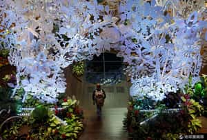 降落即景點　最佳機場樟宜六連霸