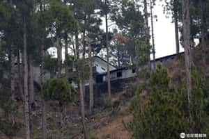 【點進來看世界的地球 24小時】03/07 這裡是印度空襲巴基斯坦的地方？