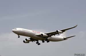 再傳空難 阿爾及利亞航空墜毀馬利