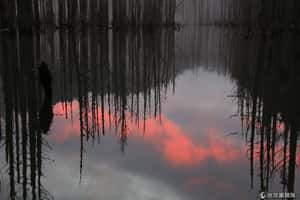 台灣山林祕境(一)：雪山、嘉明湖、水漾森林