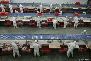 中國查獲2萬噸假肉