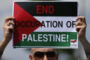 聯合國否決以巴衝突解決方案