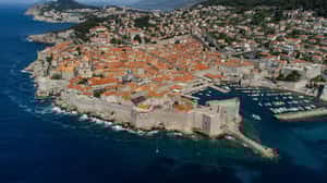 亞得里亞海之珠 懶貓處處歲月靜好