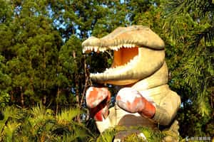 美麗不宜人居   澳洲達爾文充滿獨特風景