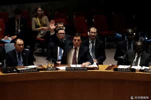 中俄投下否決票  反對制裁敘利亞