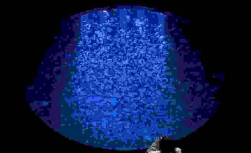 日本鶴岡市立加茂水族館｜一座從低谷重生的水母奇蹟，讓人重新相信希望