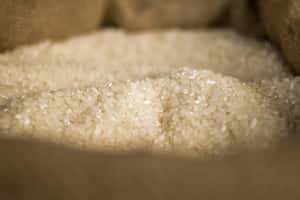 超越外交的大愛  台灣米非洲飄香